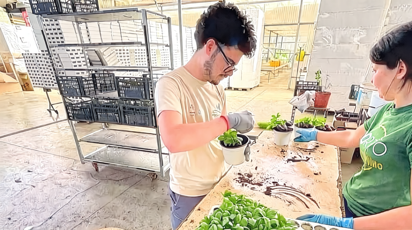How Growing Basil Empowers Autistic Youth in Policoro