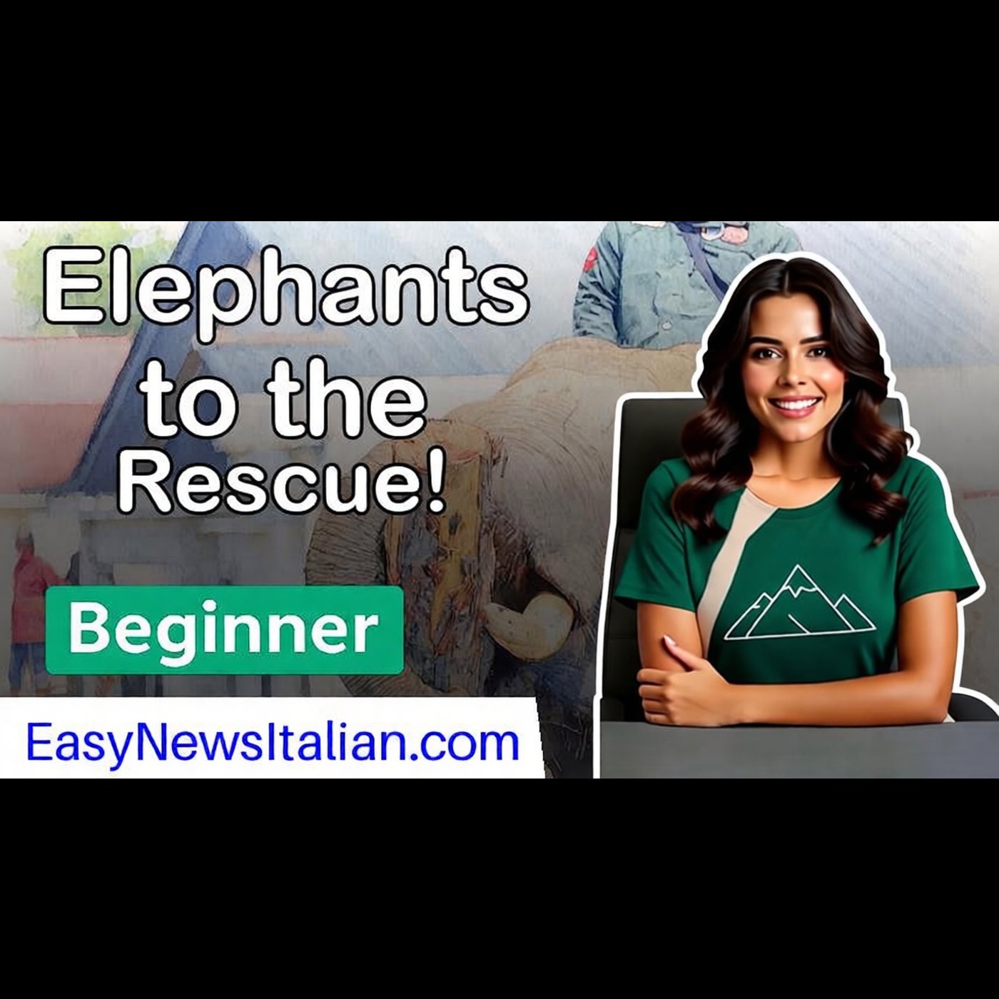 How Elephants Are Clearing Debris After Indonesia's Devastating Floods | Beginner #LearnItalian episode artwork