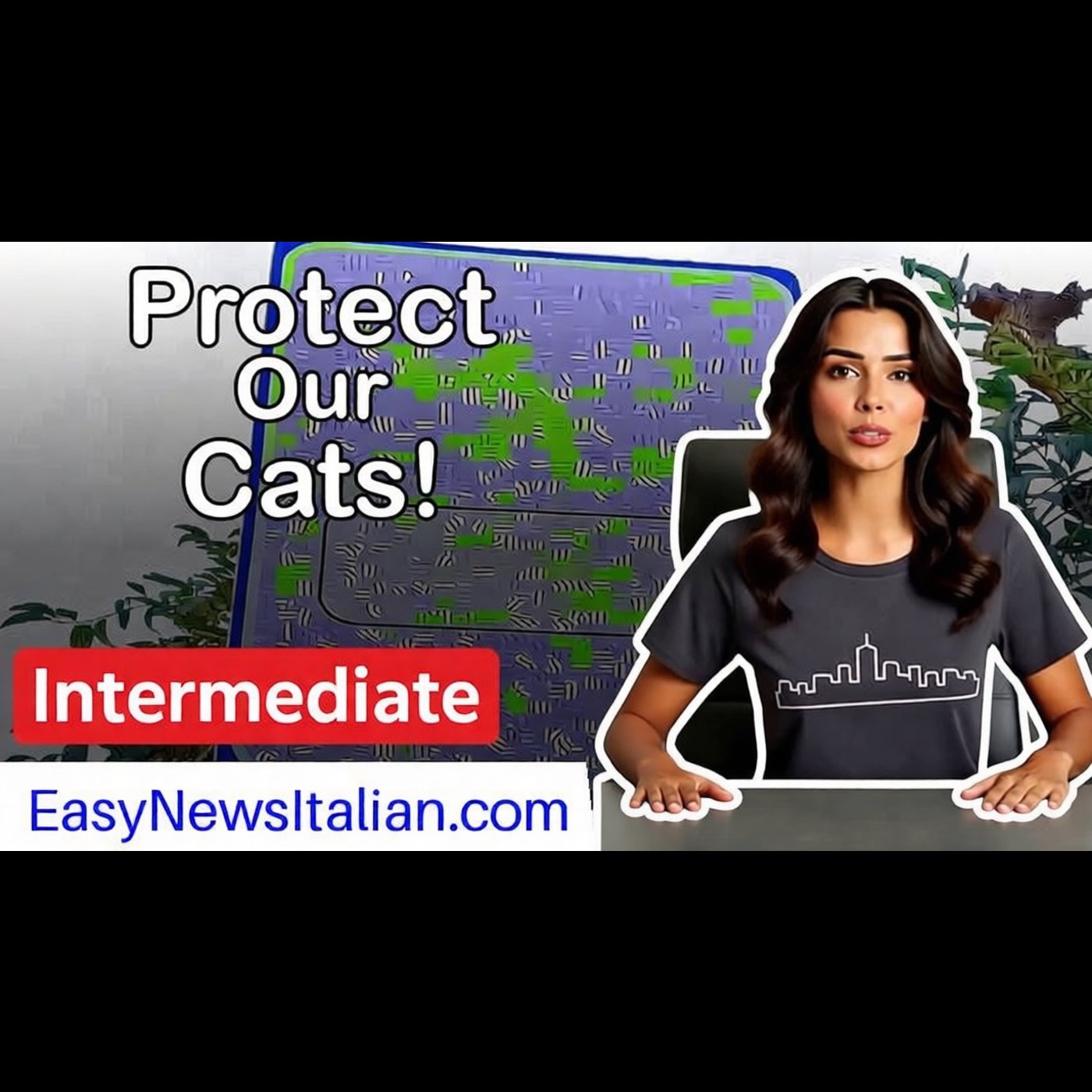 Why Drivers Must Slow Down to Save Cats in Italy | Intermediate #LearnItalian episode artwork